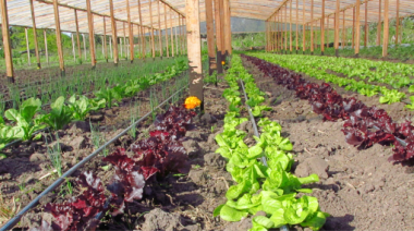 Realizan un festival agroecológico para defender un predio de Agronomía de la Universidad Nacional de La Plata