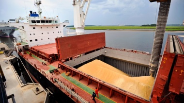 Agroexportadores definirán en forma individual su adhesión al nuevo dólar soja