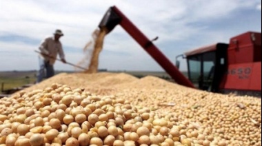 Granos verdes y capacidad ociosa: el sector agroindustrial expresó su preocupación