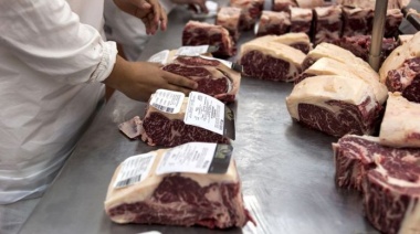 Optimismo en el Senasa de cara al desembarco de producción argentina a nuevos mercados