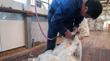 La exportación de lana argentina superó el 45% en volumen y el 30% en valor