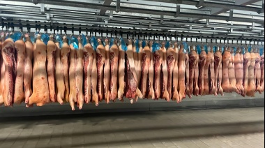 En abril bajaron las exportaciones de carne vacuna