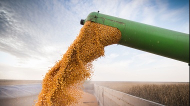 Qué empresas lideraron el ranking de exportadores del agro durante la campaña 2023/2024