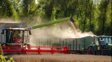 El agro de Argentina podría alcanzar un récord de 251 millones de toneladas de granos
