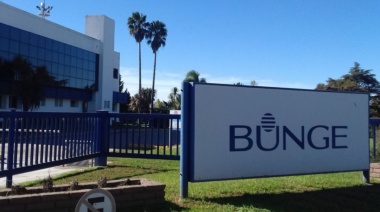 Viterra y Bunge inician negociaciones para crear un gigante agroindustrial