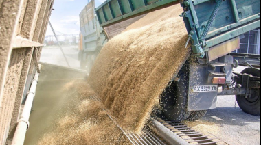En búsqueda de reservas para Toto, el Gobierno nacional presiona a las cerealeras para que liquiden