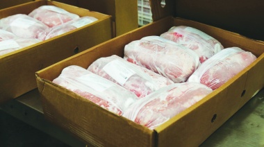 Los chanchos se toman el Buquebus: Argentina exportará a Uruguay carne de cerdo