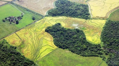 Los suelos de la Argentina almacenan el 2 % de la reserva mundial de carbono