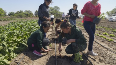 Crean programa para equipar a las escuelas técnicas agropecuarias