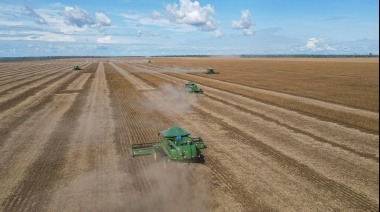 La soja cae por biocombustibles y presión financiera