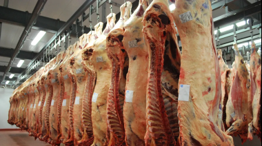 El Gobierno suspendió las exportaciones de carne por 15 días