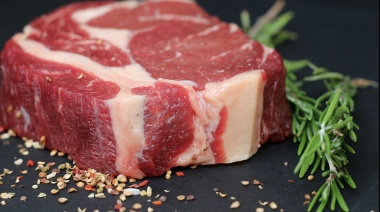 Las exportaciones argentinas de carne cayeron en septiembre