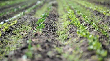 El INTA comienza su curso abierto sobre agroecología