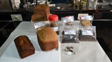 En el país de la mejor carne del mundo, el SENASA impulsa el consumo de insectos