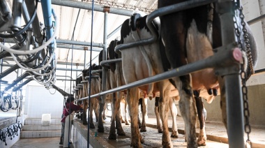 La producción de leche creció 10,9% en el primer trimestre de 2025