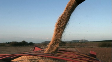 La producción agrícola 2023/24 crecería cerca de 40%, impulsada por fenómeno de El Niño