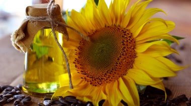 El miércoles comienza la cuarta Conferencia Internacional de Semillas y Aceite de Girasol