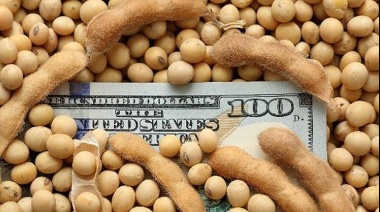 Exportadores vendieron más de 326.000 toneladas de soja y acumulan 3,18 millones