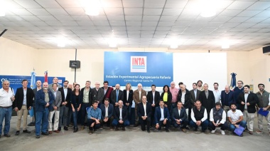 El Gobierno Nacional convocó a ministros del agro y la producción para combatir la "chicharrita"