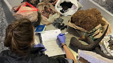 Se cancela el rito satánico: Senasa decomisó cráneos y osamenta animal proveniente de Nigeria