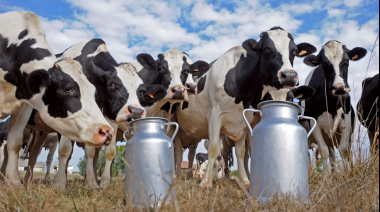 Más de 1.000 tambos cerraron en el país desde que asumió Milei