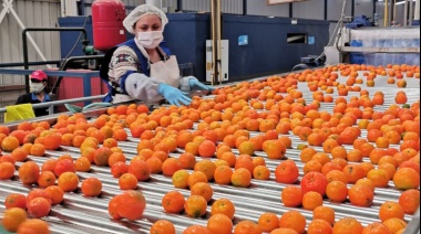 Chupate esa mandarina: Sturzenegger anunció una nueva desregulación en la industria de las frutas