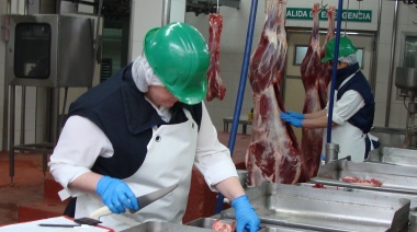 Agricultura distribuyó el cupo anual de exportación de carne a Estados Unidos
