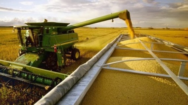 Cómo hacer una gestión eficiente en las empresas agropecuarias