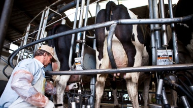 La producción de leche es la más baja de los últimos cinco años