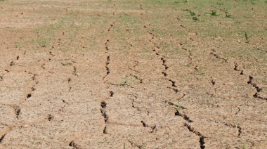 La Provincia declaró la emergencia agropecuaria en distritos del sudoeste