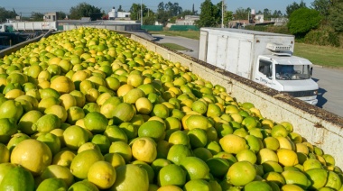 Precios de agroalimentos se multiplicaron por 3,4 veces del campo a la góndola en octubre