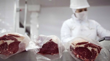 Leves alzas de las exportaciones de carne vacuna en febrero