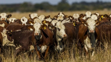 Argentina intensifica controles por brote de fiebre aftosa en Alemania