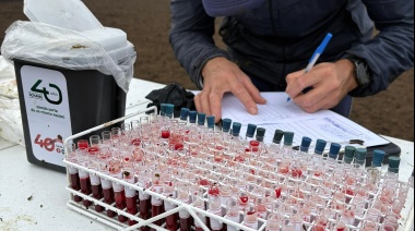 CDV y SCHANG se unen para promover el manejo responsable de residuos descartables en la práctica rural