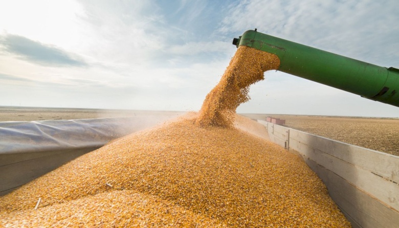 El Gobierno flexibilizó los controles sobre la producción de granos y semillas