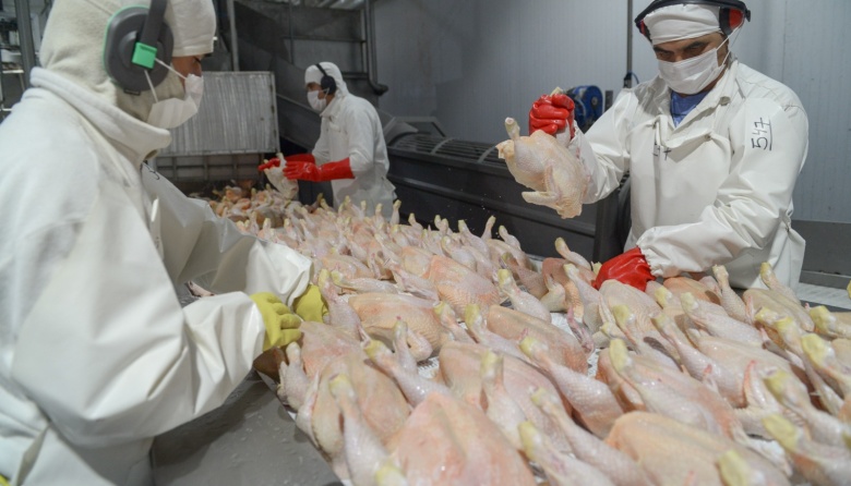 El Gobierno nacional reabre el mercado de Japón para carne aviar