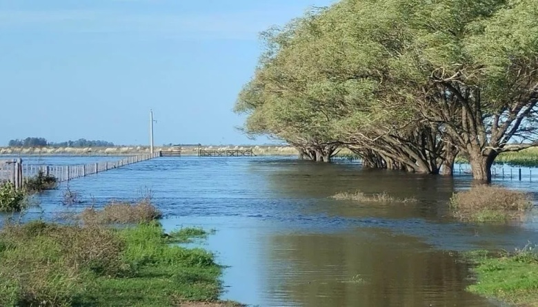 FAO acompaña la recuperación de los sistemas productivos afectados por desastres climáticos
