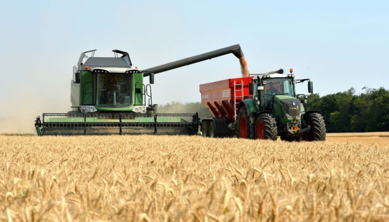 Trigo: precios sin repuntes por la oferta alta