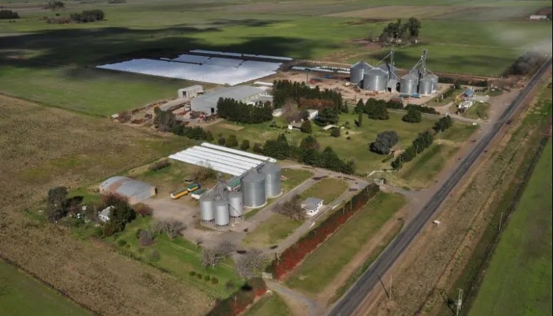 La poscosecha es la nueva frontera de la eficiencia agrícola