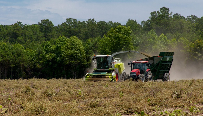 Productores del norte piden eliminar retenciones para evitar el colapso productivo
