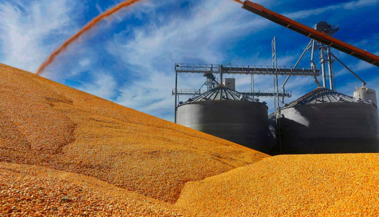 Oficializan la baja de retenciones a las exportaciones de soja, carne, maíz, sorgo y girasol