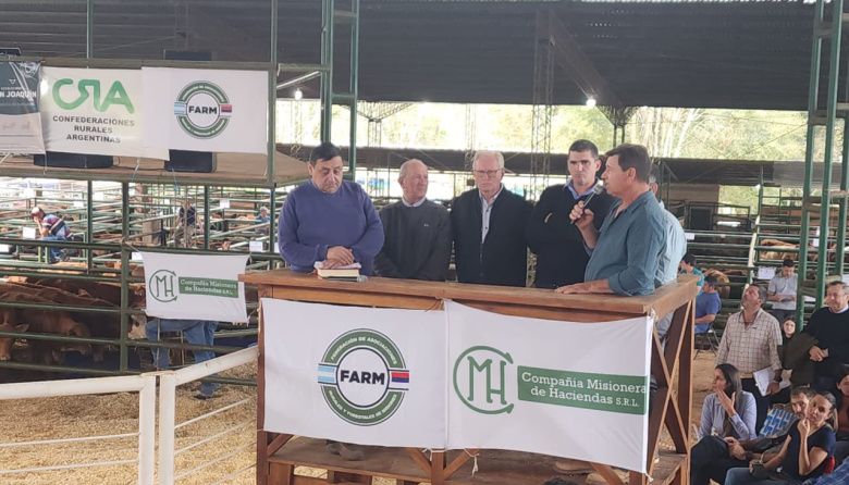 Castagnani: “La yerba mate atraviesa una crisis estructural”