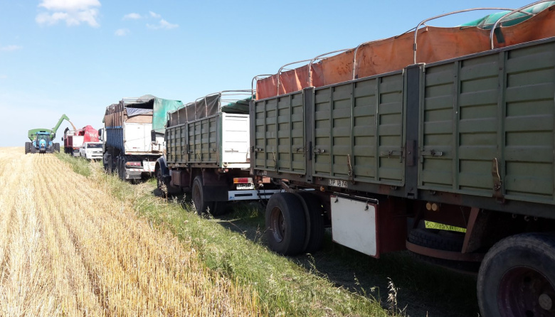 Los fletes en Argentina siguen siendo hasta 32% más caros que en países competidores