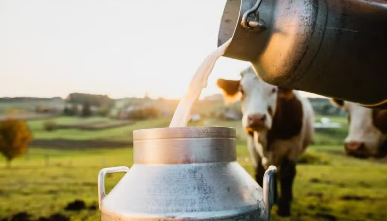 El precio de la leche cruda tuvo en agosto su punto más bajo en 7 años