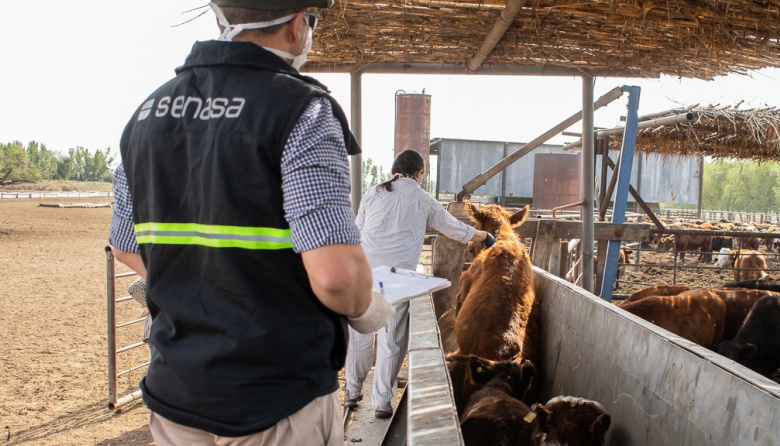 Aftosa: El campo cuestionó declaraciones de la la Secretaria de Agricultura de Estados Unidos