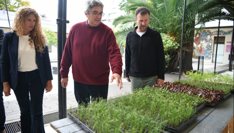 Está abierta la inscripción para la entrega de plantines a huertas comunitarias