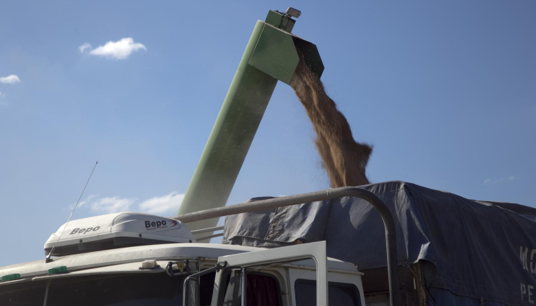 Las exportaciones agroindustriales crecieron 21% en valor en septiembre de 2025