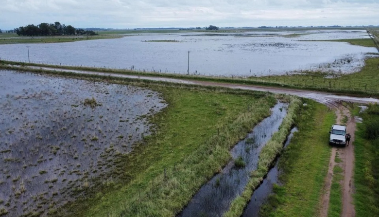 El Gobierno Nacional declaró la emergencia agropecuaria para Río Negro, Entre Ríos y Buenos Aires