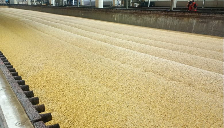 La industria cervecera espera una campaña de cebada récord y alerta por el cuidado en la poscosecha