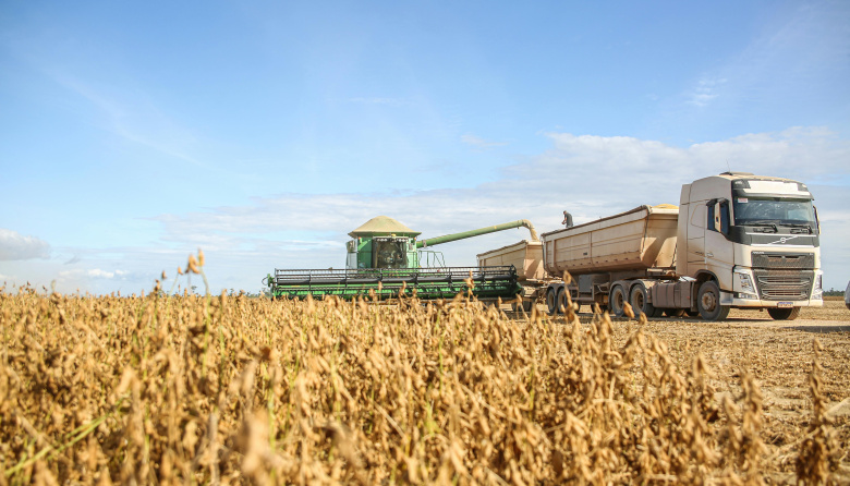 Argentina podría incrementar sus exportaciones a China por 3.000 millones de dólares anuales